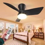 Small Black Ceiling Fan With Light